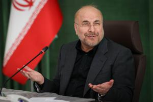 گزارش تصویری| نشست مجمع نمایندگان استان تهران با رئیس مجلس