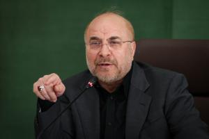 گزارش تصویری| نشست مجمع نمایندگان استان تهران با رئیس مجلس