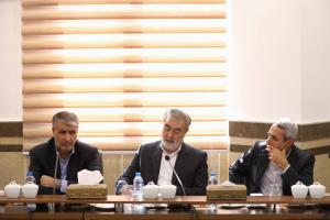 گزارش تصویری| نشست اعضای کمیسیون امنیت ملی مجلس با رییس سازمان انرژی اتمی