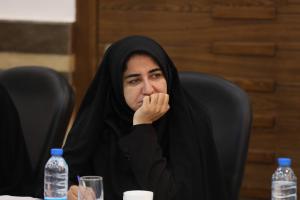گزارش تصویری| نشست اعضای کمیسیون امنیت ملی مجلس با رییس سازمان انرژی اتمی